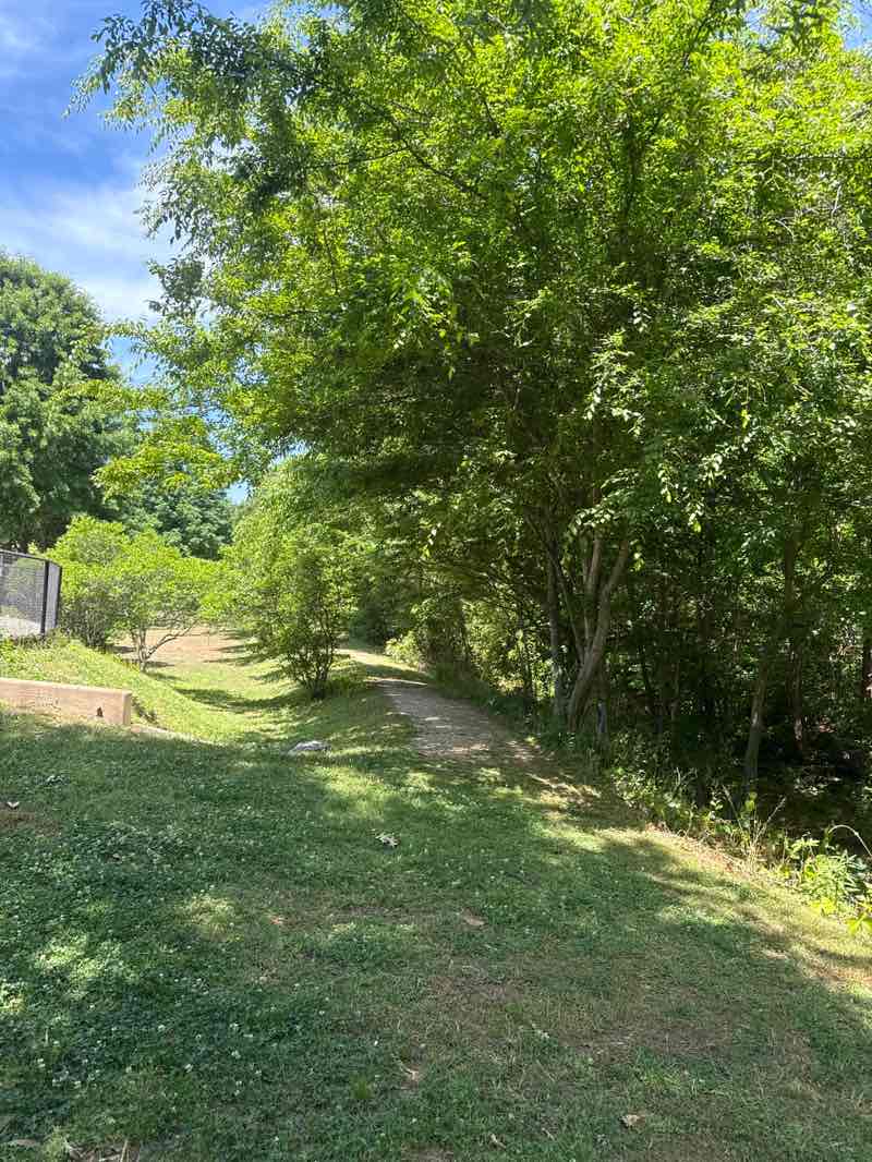 walking near me in Glenlake Park in spring