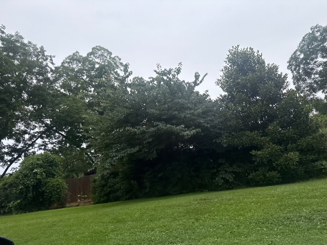 walking near me in Lanier Gardens in summer