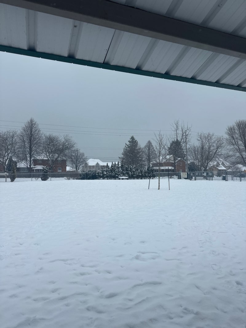 walking near me in Mayfair Park in winter