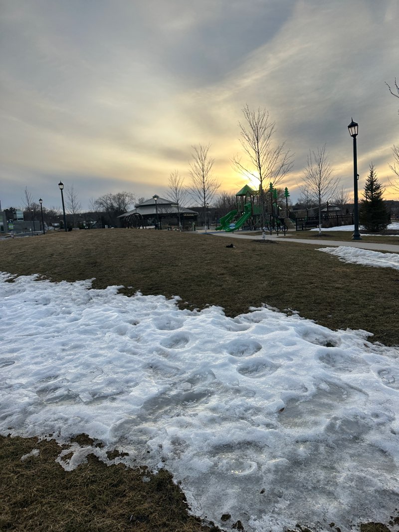 walking near me in Rotary Park in spring