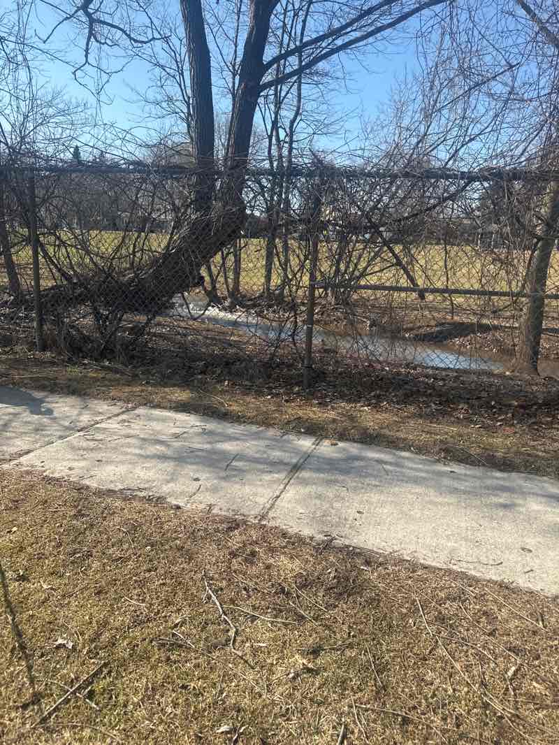 walking near me in Maplewood Park in spring