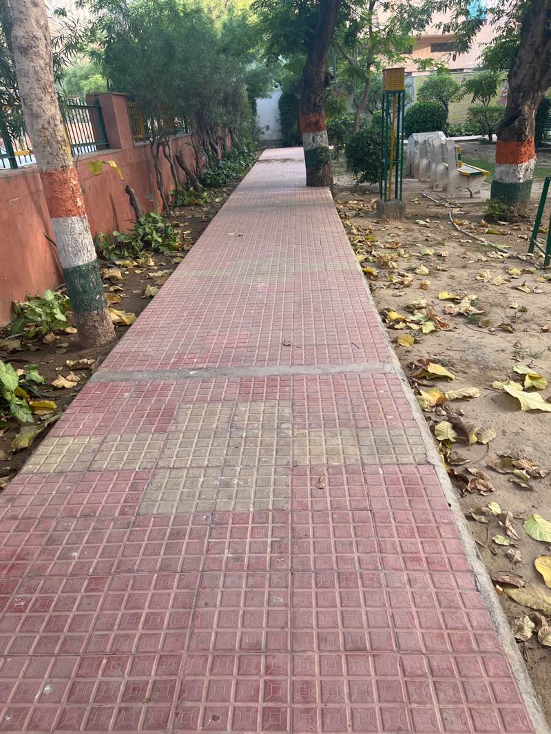 walking near me in Park in spring