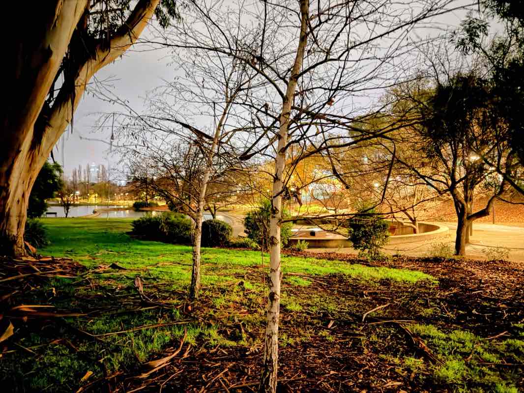 walking near me in Grevillea District Park in winter