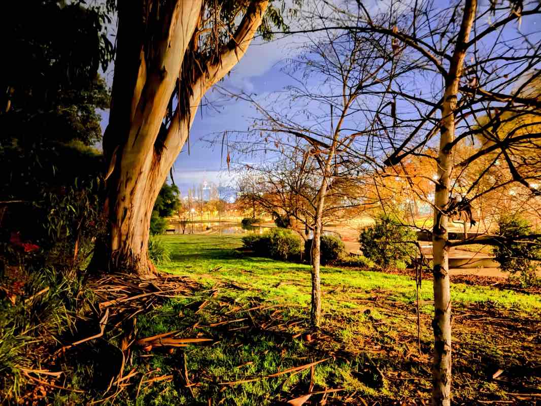 walking near me in Sculpture Garden in winter