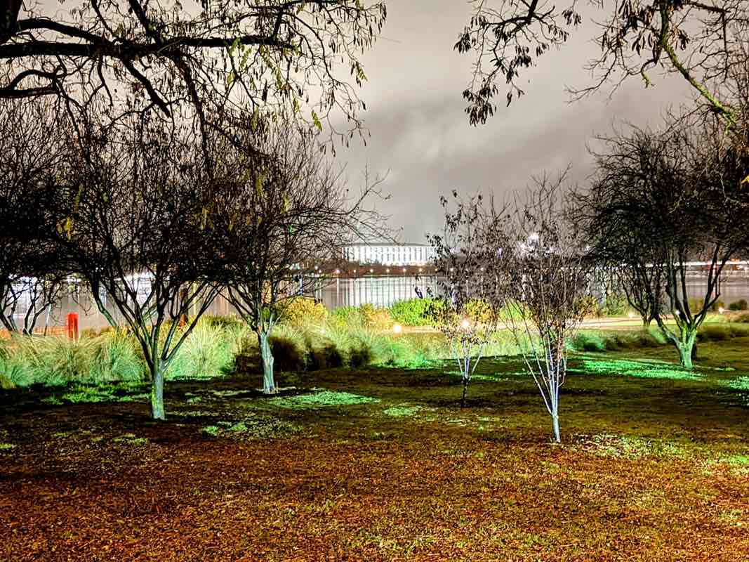 walking near me in Kings Park in winter