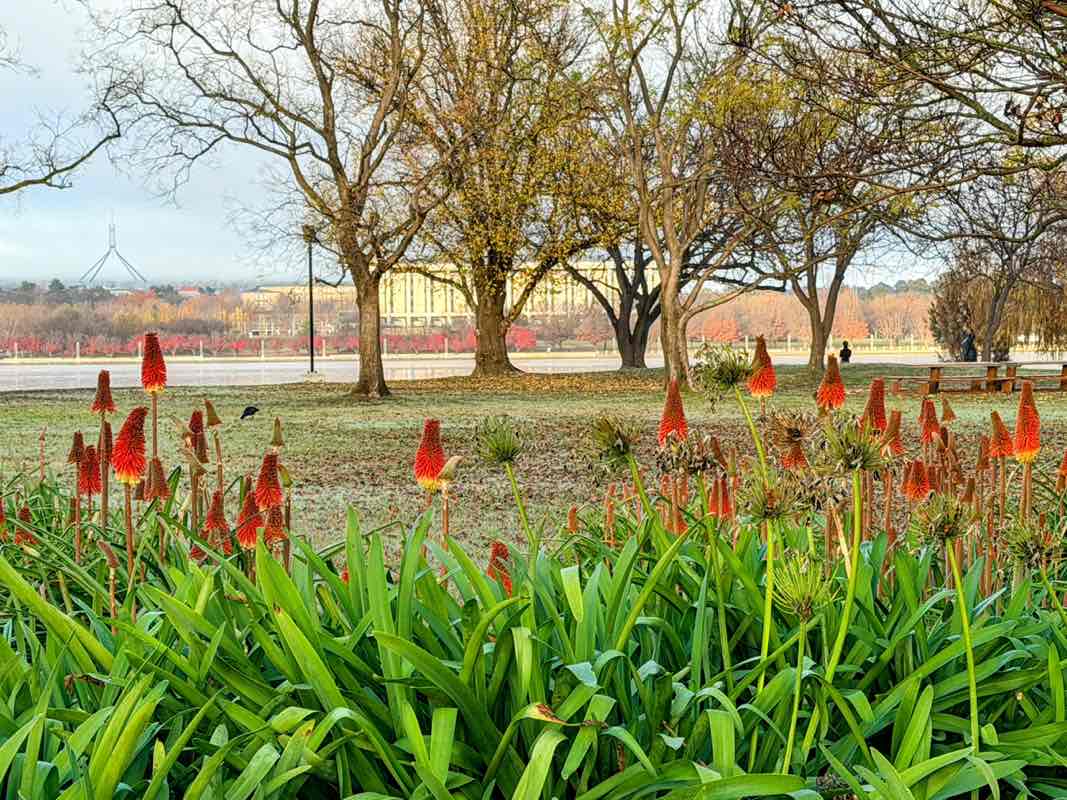 walking near me in Commonwealth Park in winter