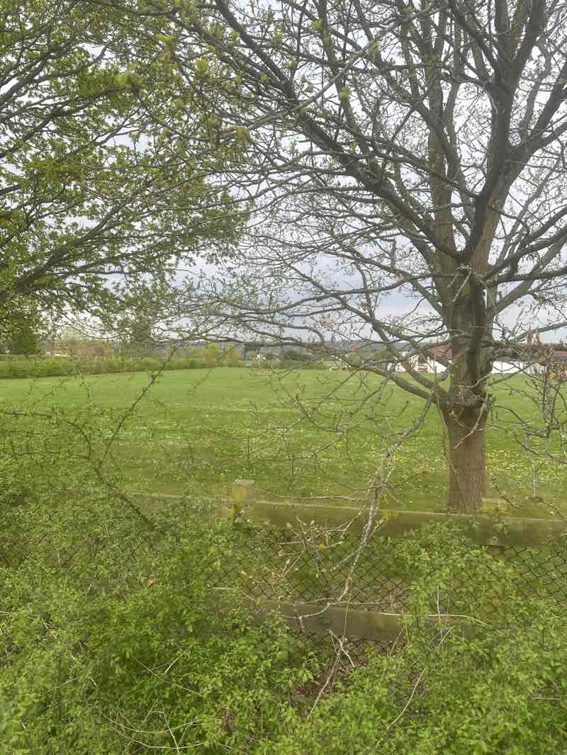 walking near me in Henwick Park in spring