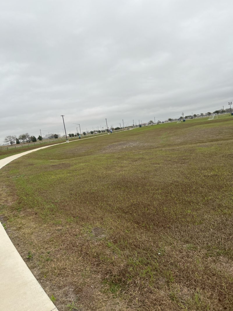 walking near me in Manuel Q. Salinas Park in winter