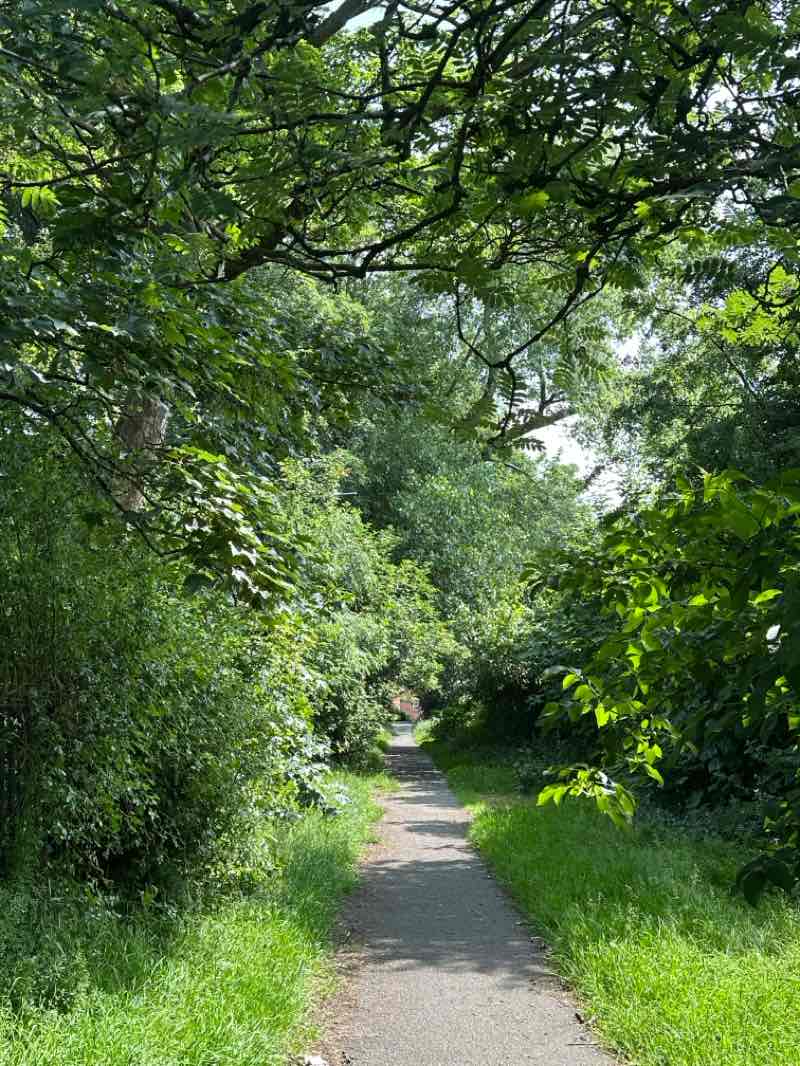 walking near me in Penkhull Park in summer