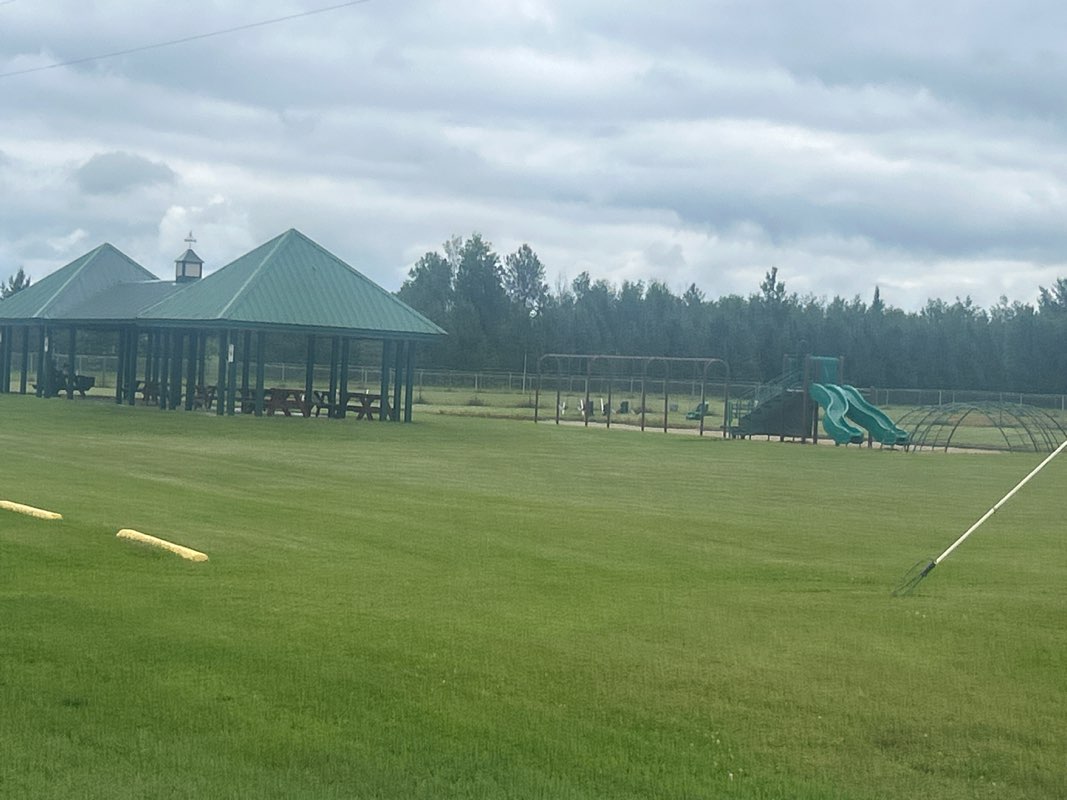walking near me in Jacobson Community Field in summer