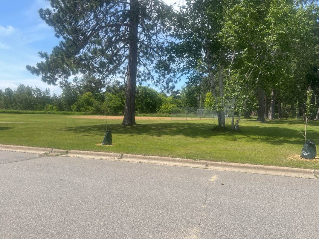 walking near me in Grussendorf Park in summer