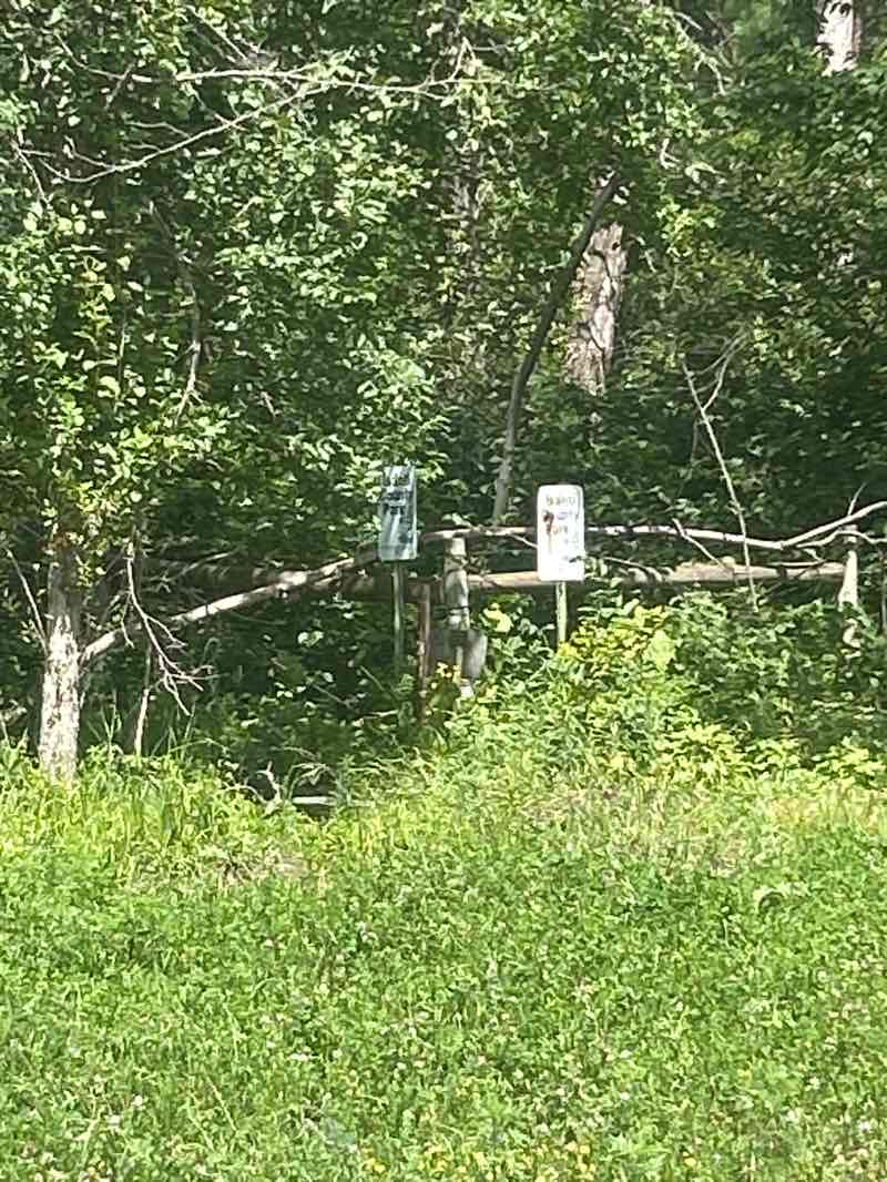 walking near me in Wayside Prarie Park in autumn