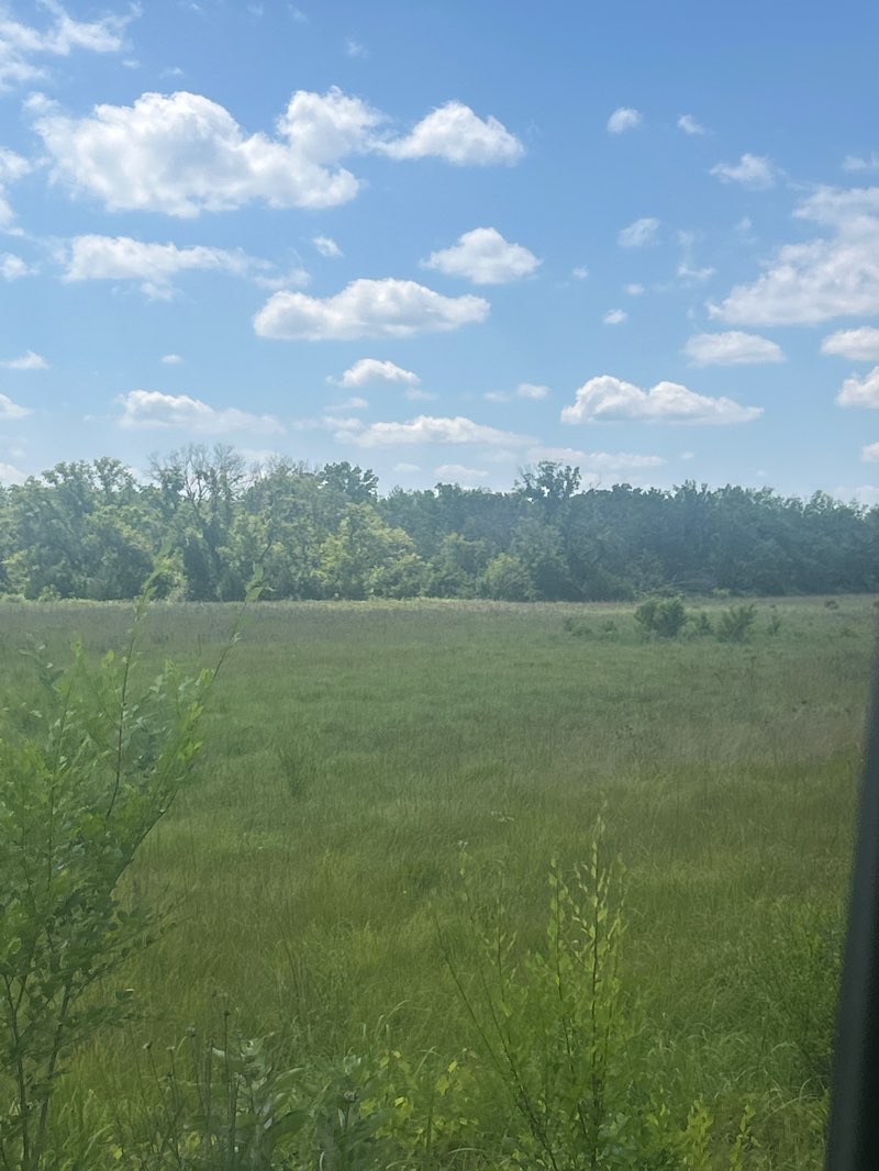 walking near me in Mississippi West Regional Park in summer