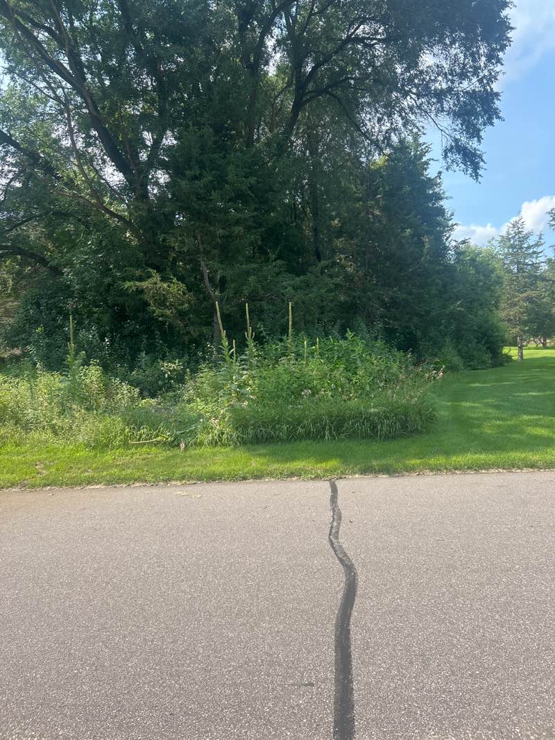 walking near me in Reilley West Park in autumn