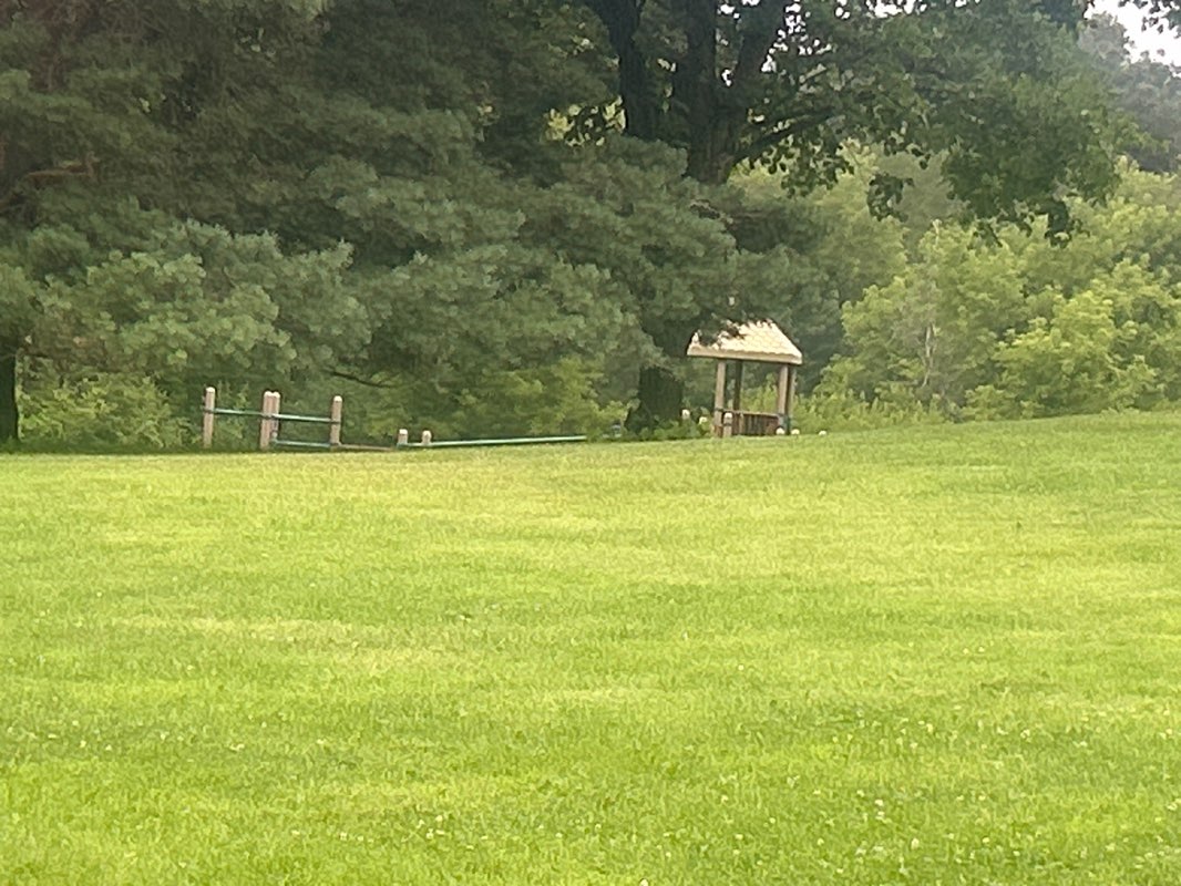 walking near me in Woodland Green Park in autumn