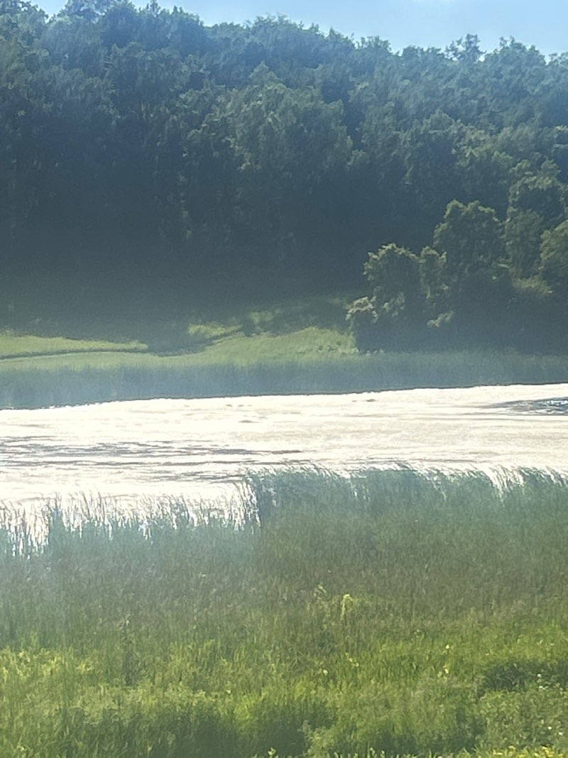 walking near me in Cambria Farms Park in summer