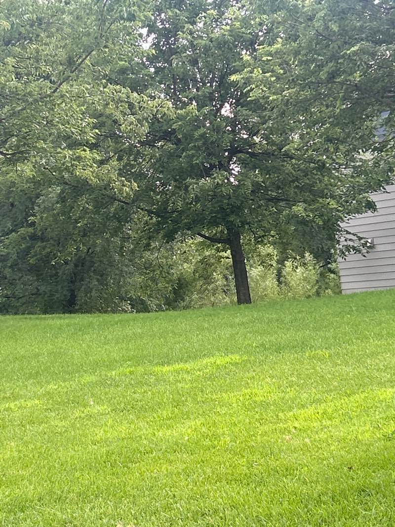 walking near me in Sunflower Ridge Park in autumn