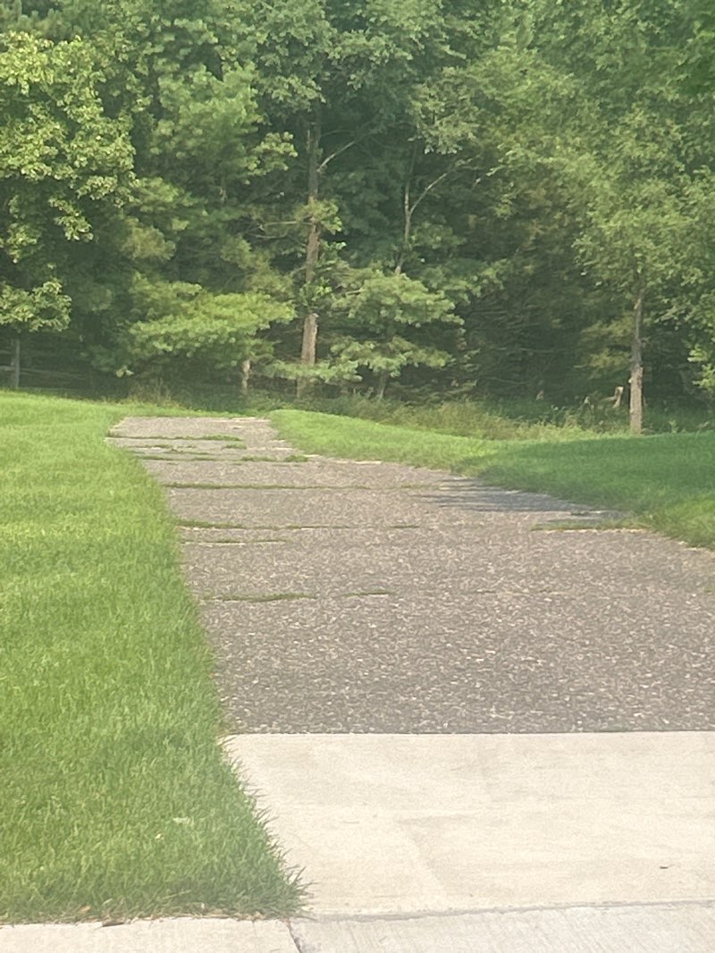 walking near me in Bear Park in autumn
