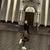 Gabriele profile