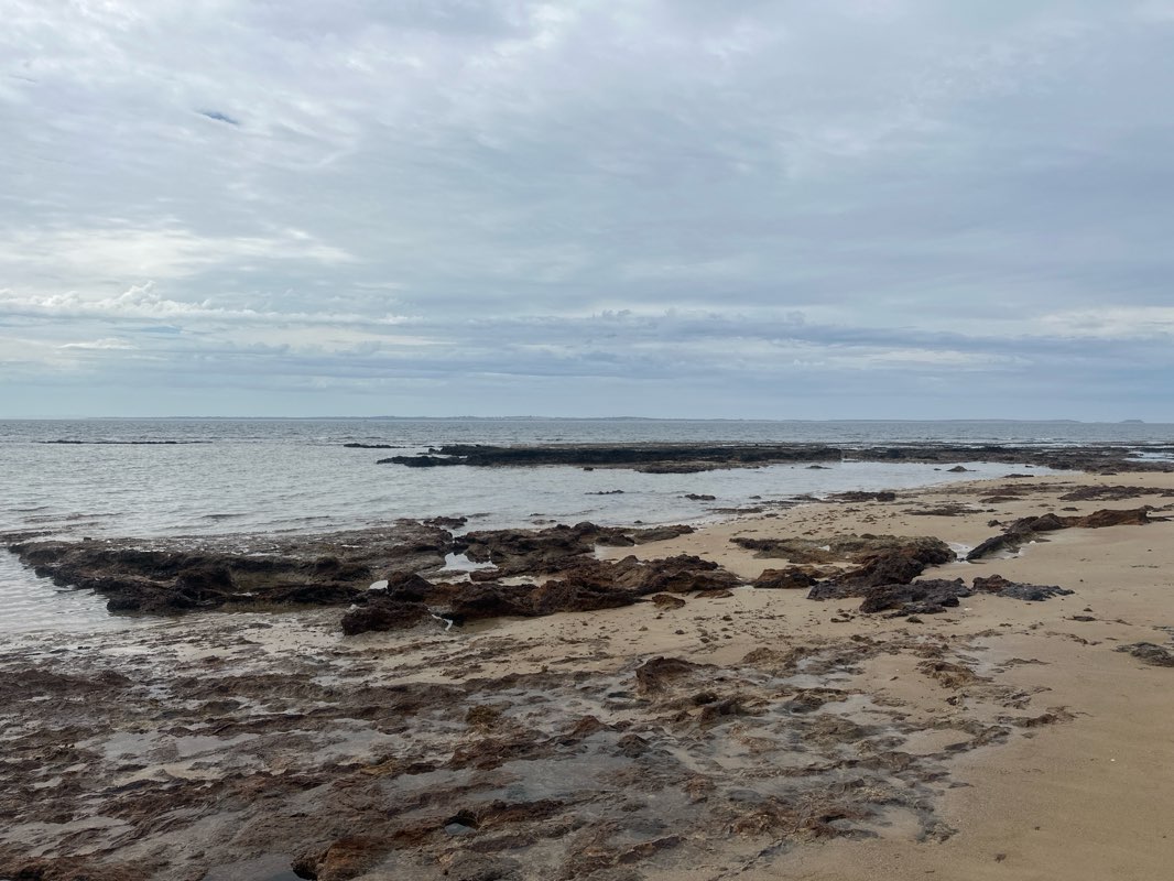 walking near me in Flinders - Somers Coastal Reserve in autumn