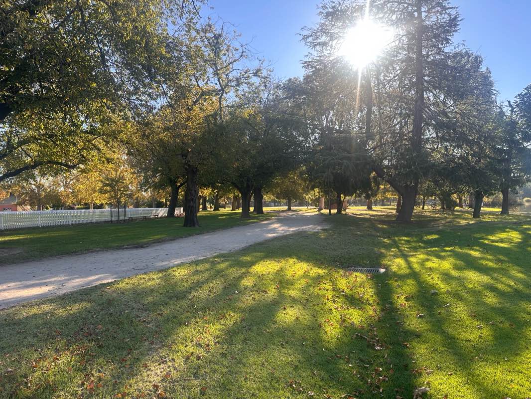walking near me in Benalla Botanical Gardens in autumn