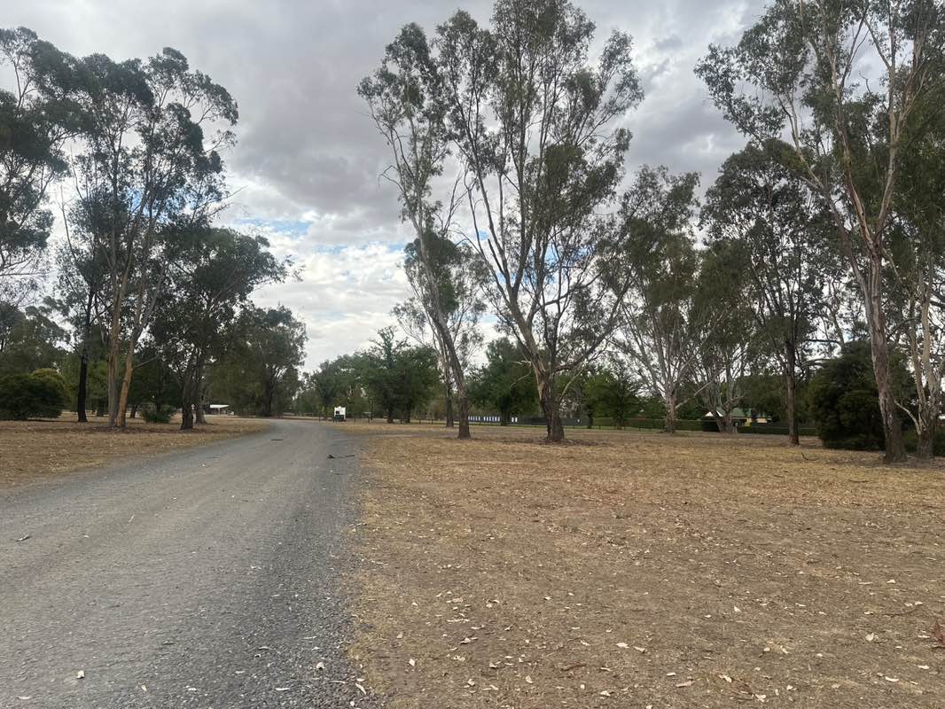 walking near me in Benalla Racecourse in summer