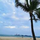 starry云燕 profile