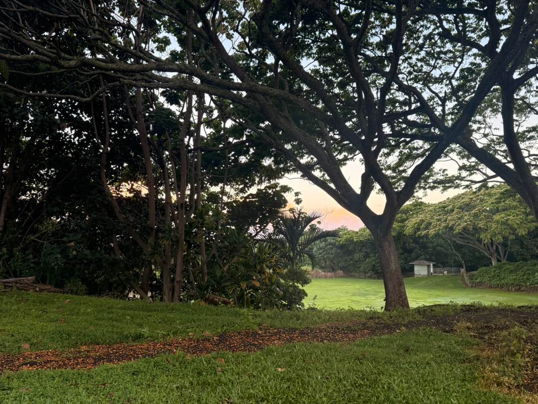 walking near me in Kamakana playgrounds in summer