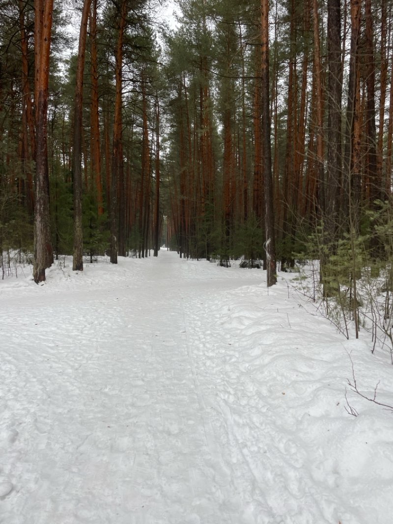 walking near me in ПКиО "Балатово" in spring