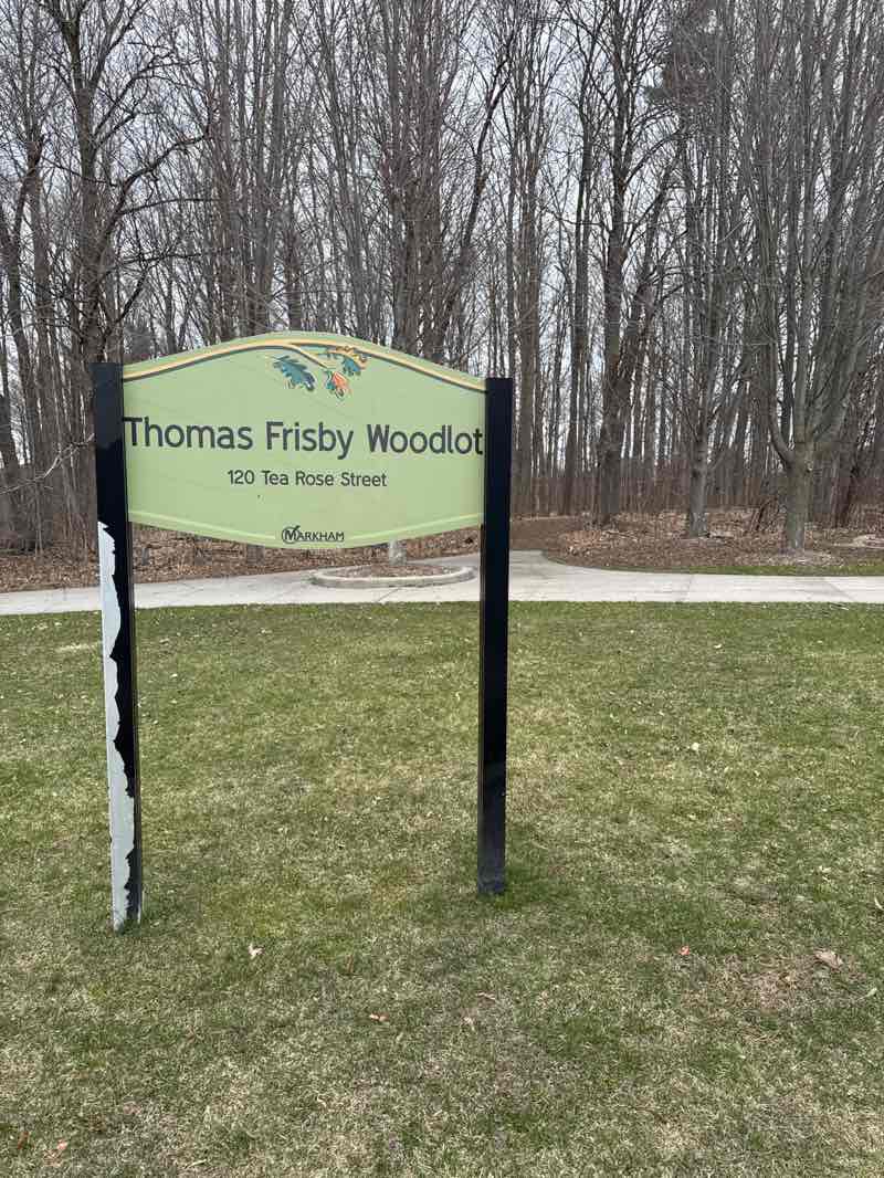 walking near me in Thomas Frisby Woods in spring