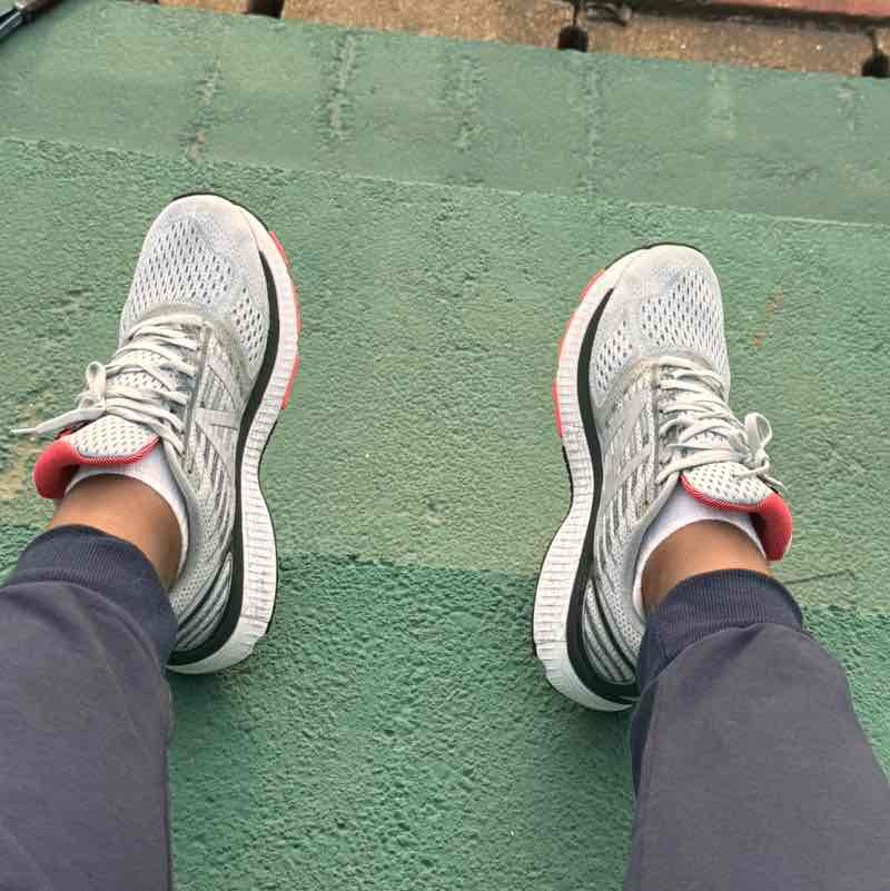 Meristem Nigeria Yori post image