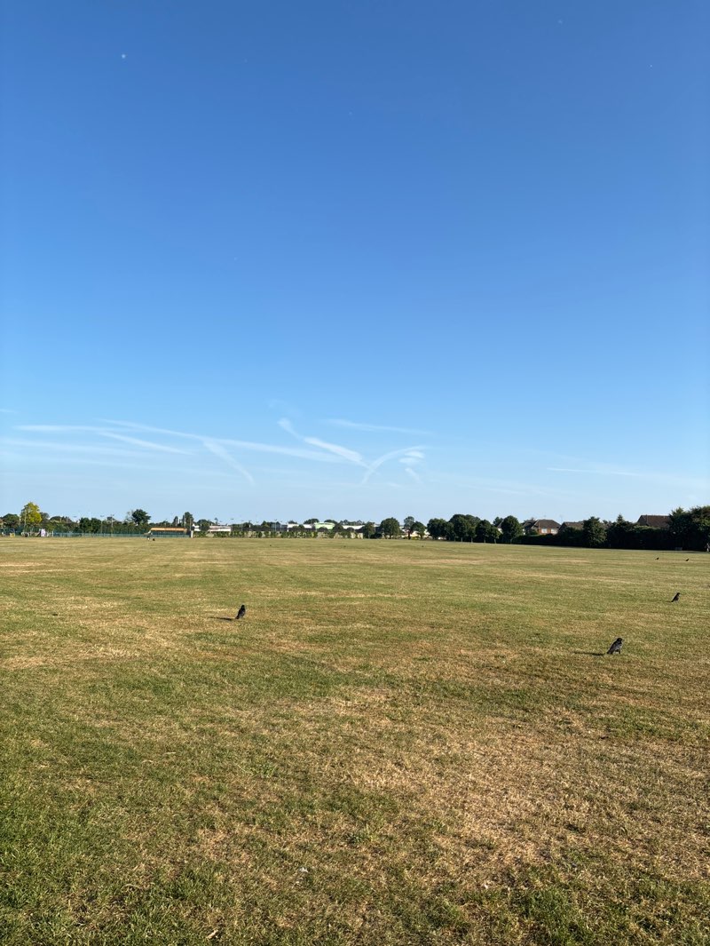 walking near me in King George's Playing Fields in spring