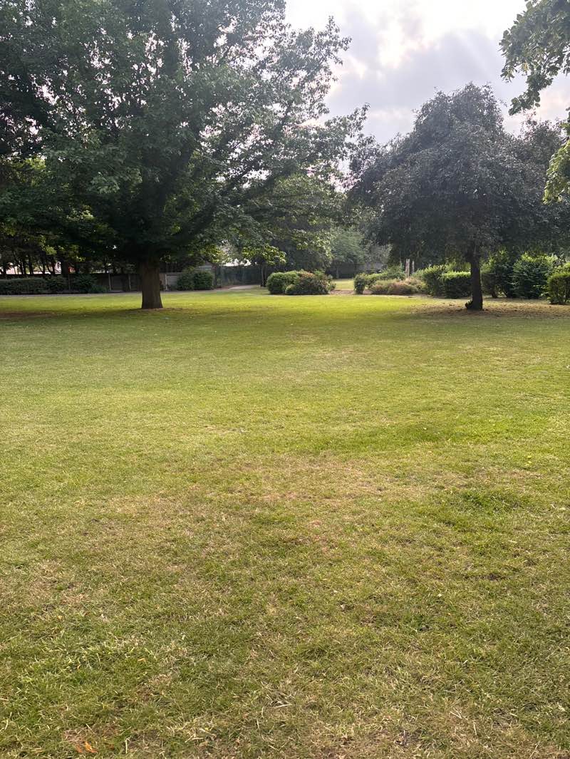 walking near me in Cottons Park in summer