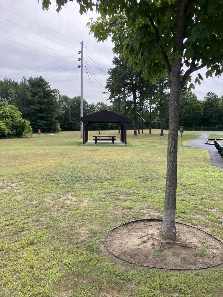 walking near me in West End Park in autumn