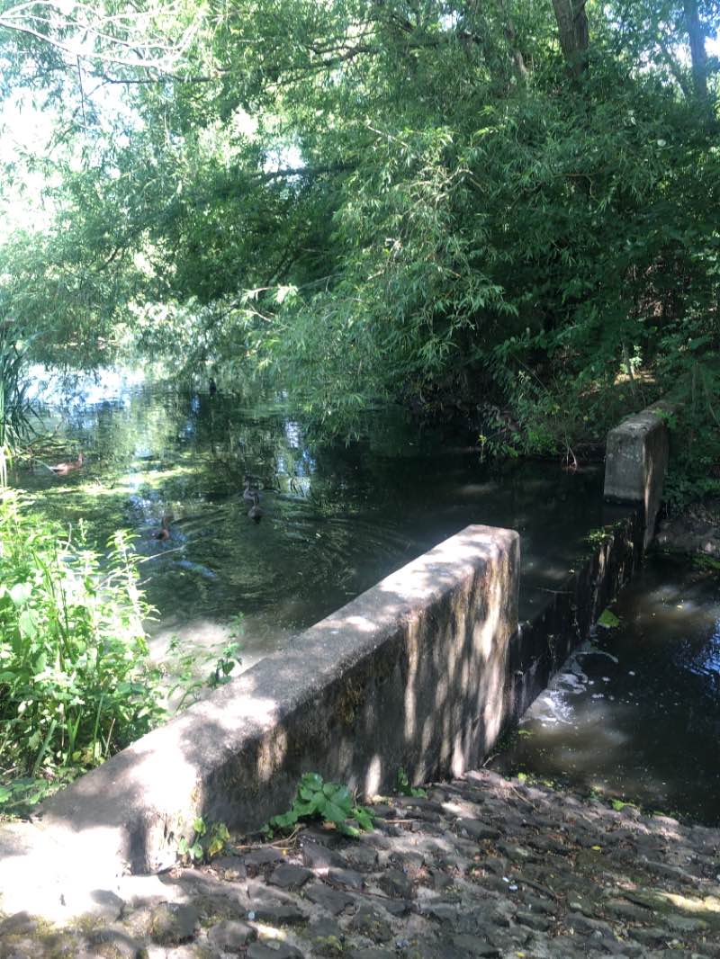 walking near me in Wyken Slough / Wyken Pool (Nature Reserve) in summer
