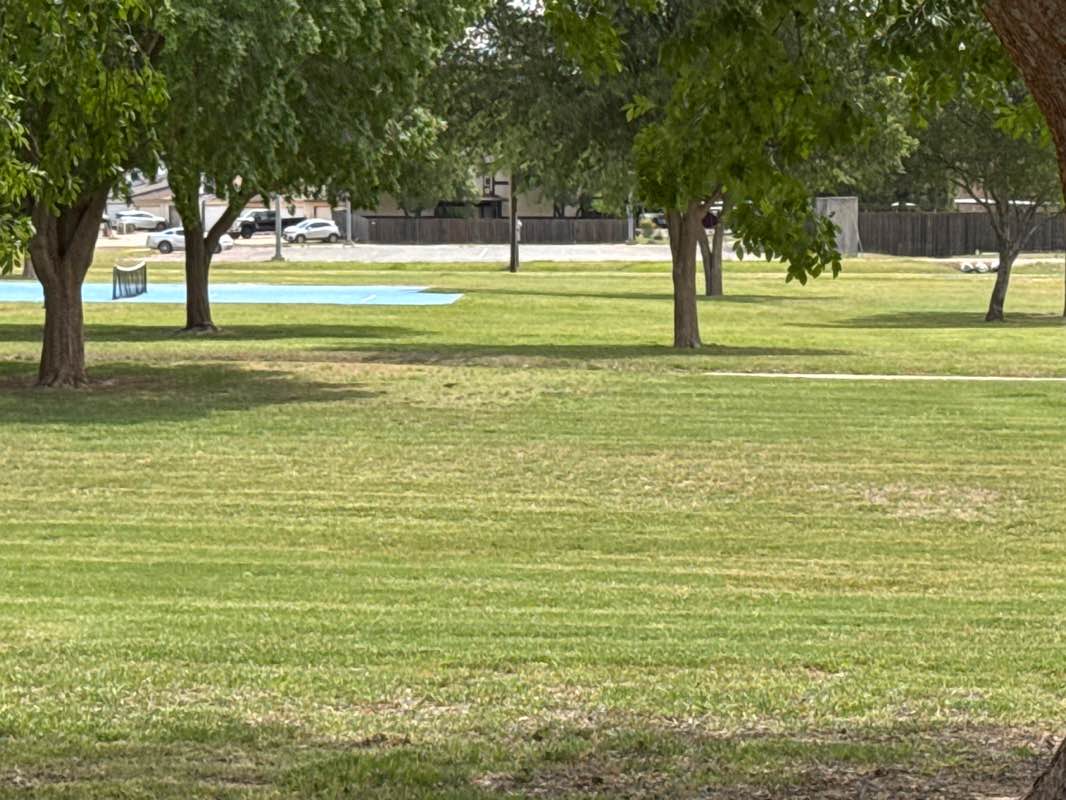 walking near me in Charles A. Guy Park in spring