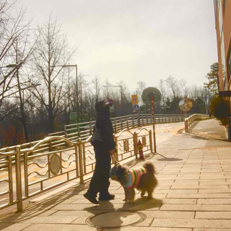 완벽한찰떡 post 2