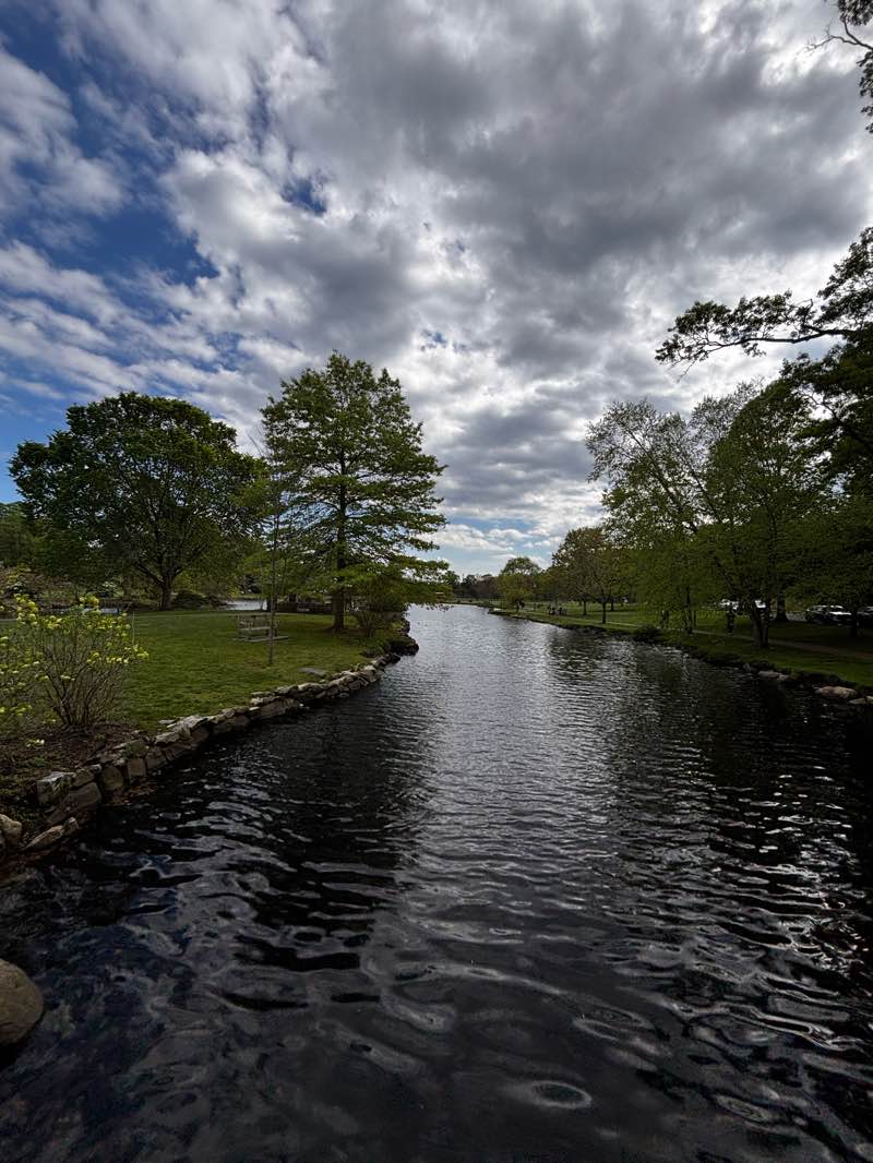 walking near me in Binney Park in spring
