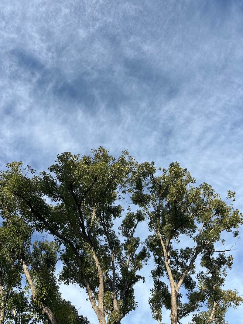 walking near me in Spring Canyon Neighborhood Park in autumn