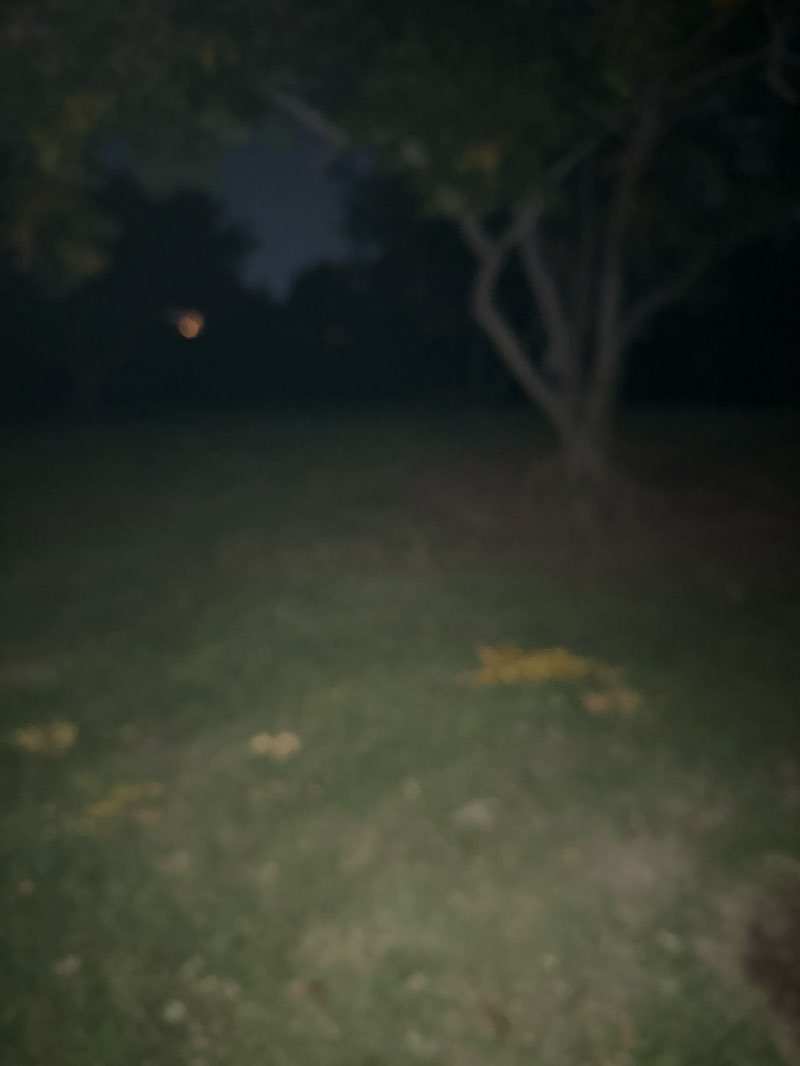 walking near me in Spring Canyon Neighborhood Park in winter