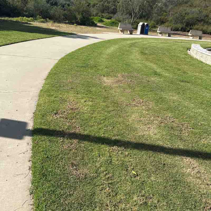 Santhosh Sama post 1