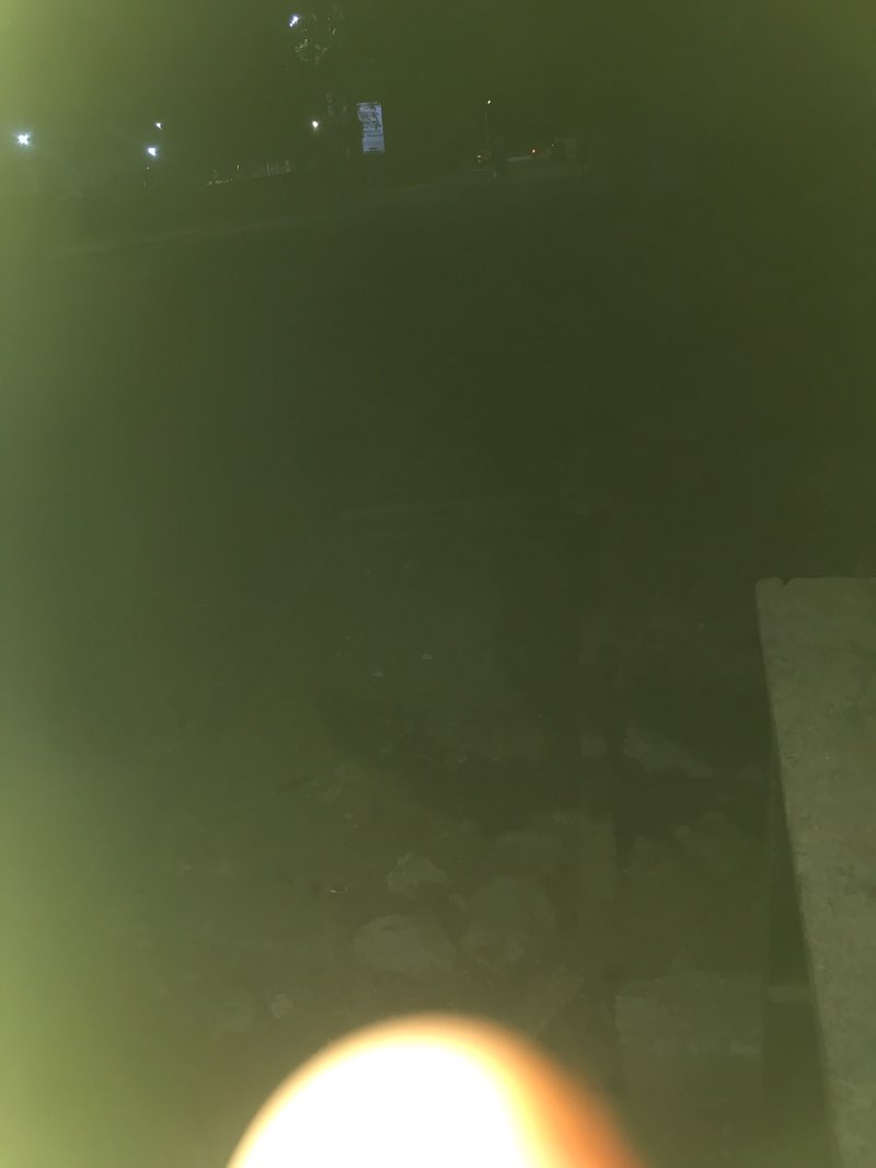 walking near me in Ministry of Information Park in spring