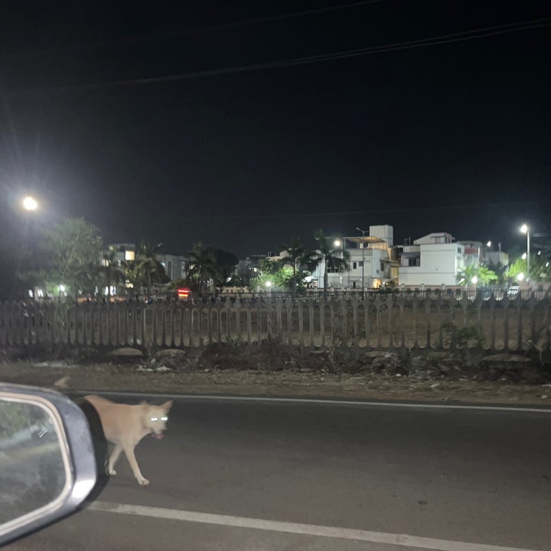 Srinivasan post 1