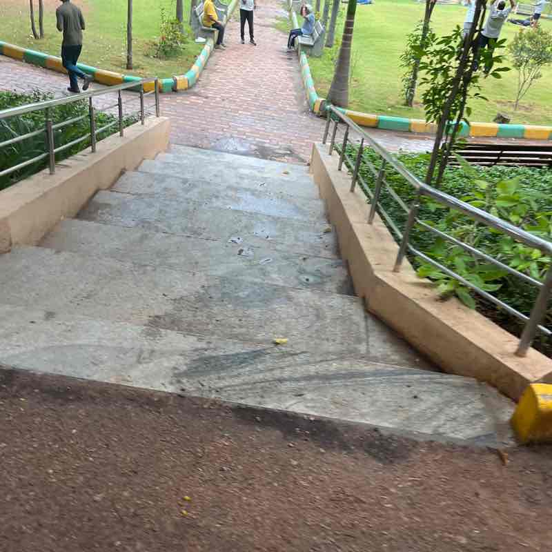 Srinivasan post 2