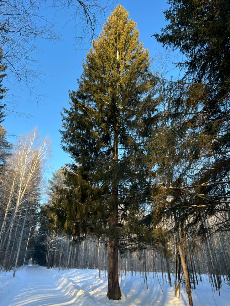 walking near me in Эспланада in winter