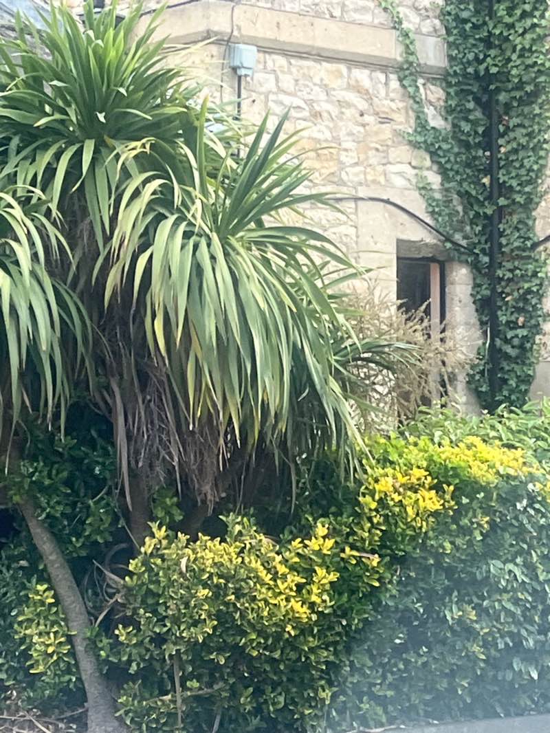 walking near me in Allington (Millennium Green) in summer