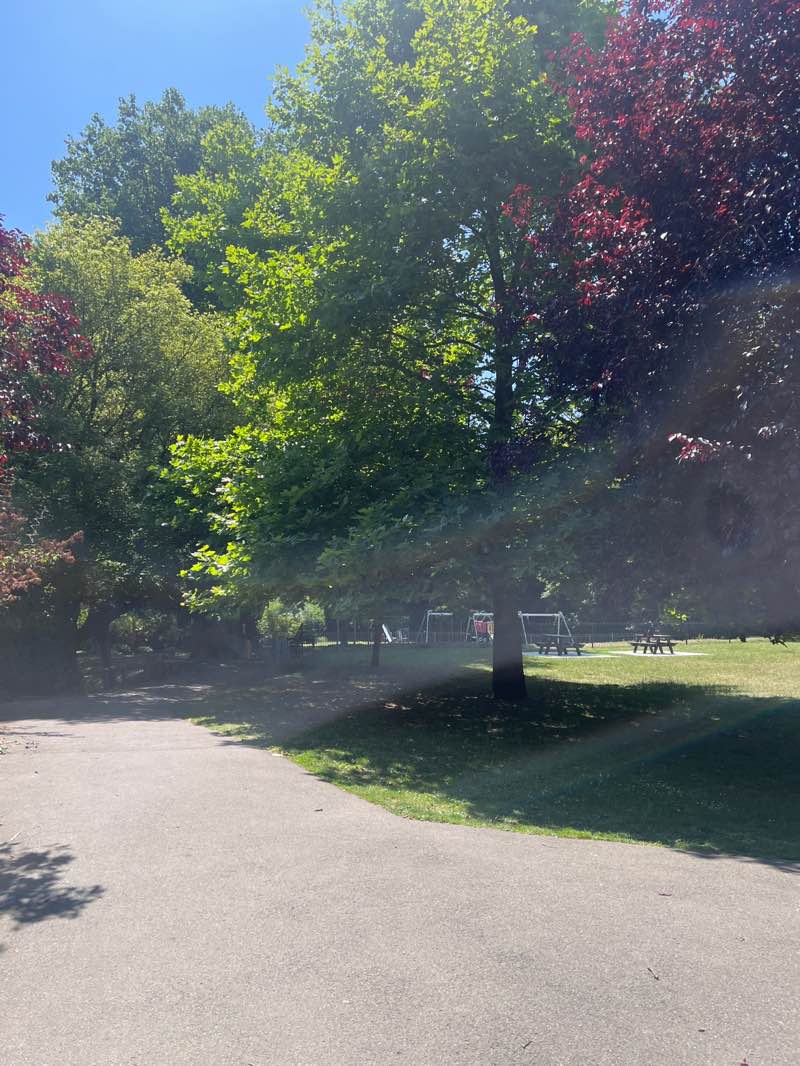 walking near me in Clare Park in summer