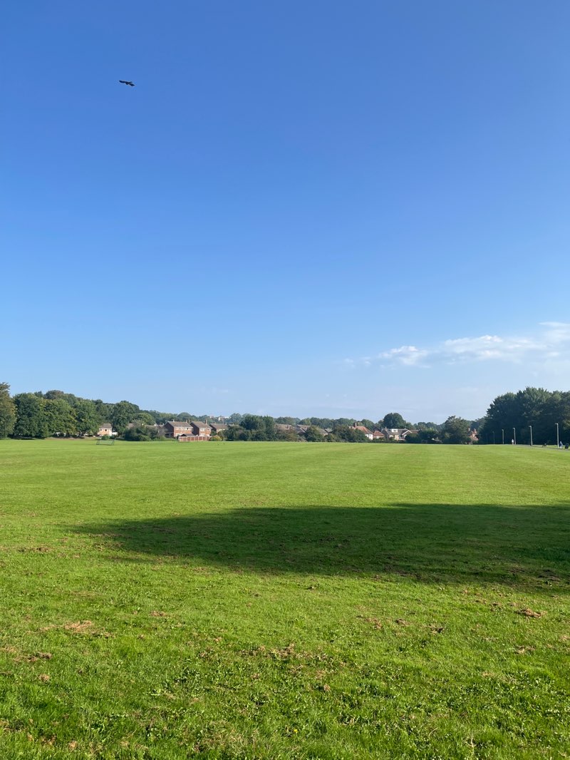 walking near me in Beverley Meadow in autumn