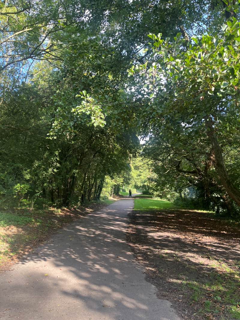 walking near me in Whatman Park in autumn