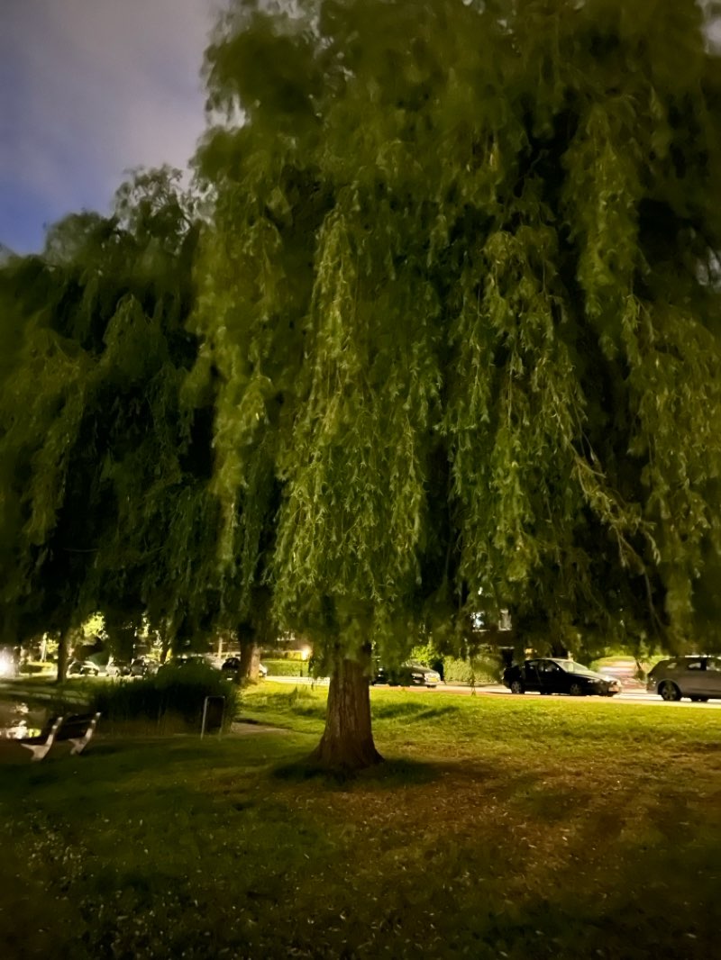 walking near me in Floresplein in summer